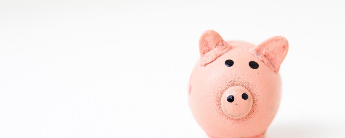Savings bank pig